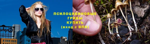шишки Бронницы