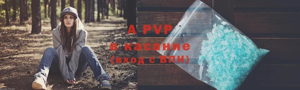 амф Бородино