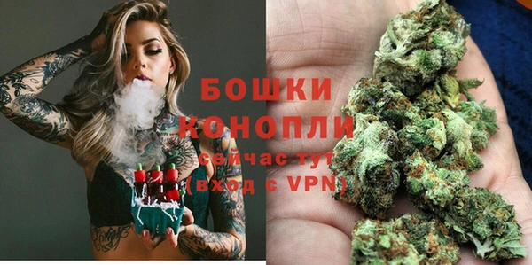 амф Бородино
