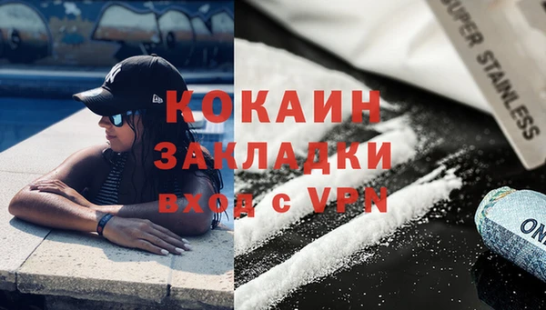 стаф Верея