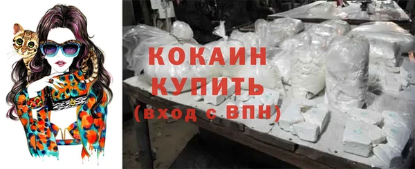 шишки Бронницы